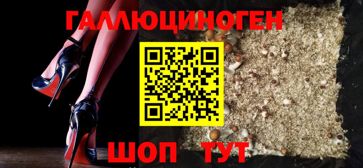 Городец  Псилоцибиновые грибы мухоморы  Вход с VPN 