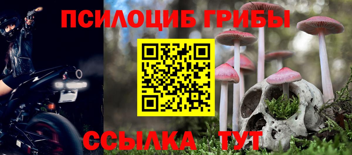 Галлюциногенные грибы Psilocybine cubensis Городец